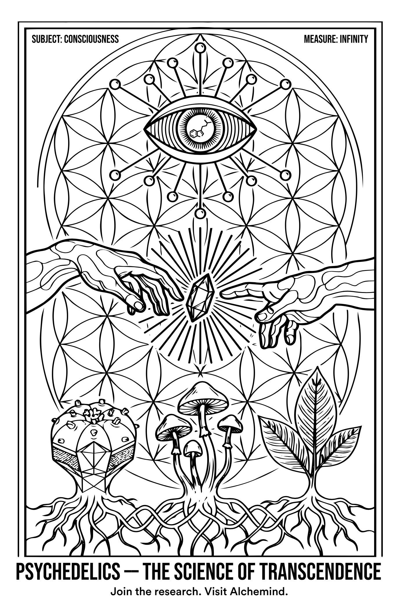 náhled trancendence